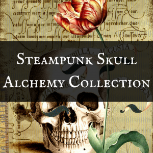 Steampunk Skull Alchemy Halloween Invitations, Gift Wrap & Party Supplies