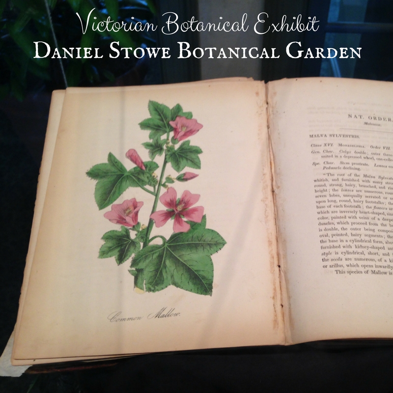 Victorian Botanicals Exhibit at Daniel Stowe Botanical Garden