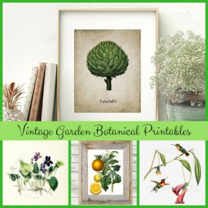 Vintage Garden Botanical Printables for Seasonal Decor and Gifts