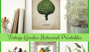 Vintage Garden Botanical Printables for Seasonal Decor and Gifts