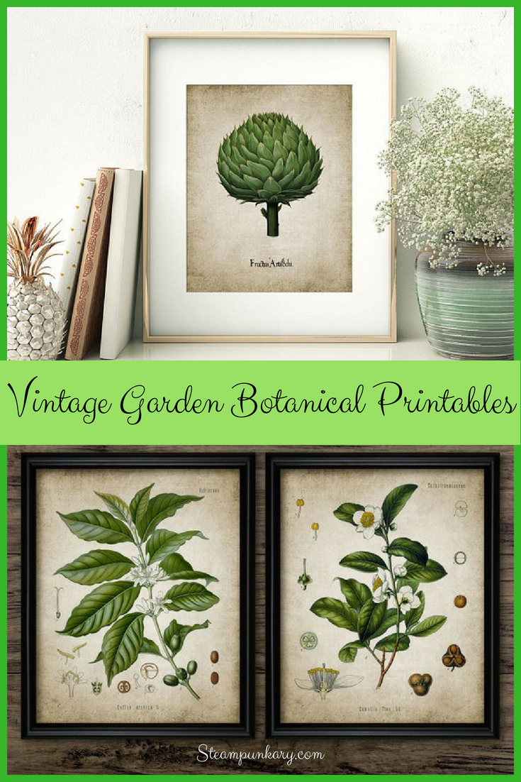 Vintage Garden Botanical Printables for Seasonal Decor and Gifts