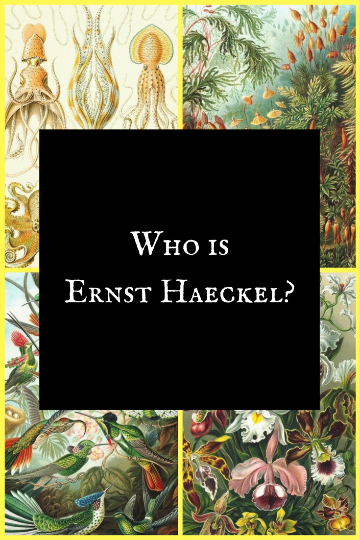 Who is Ernst Haeckel?
