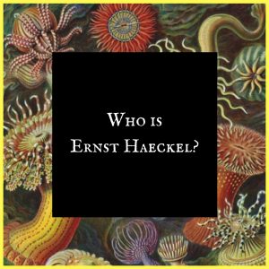 Who is Ernst Haeckel?
